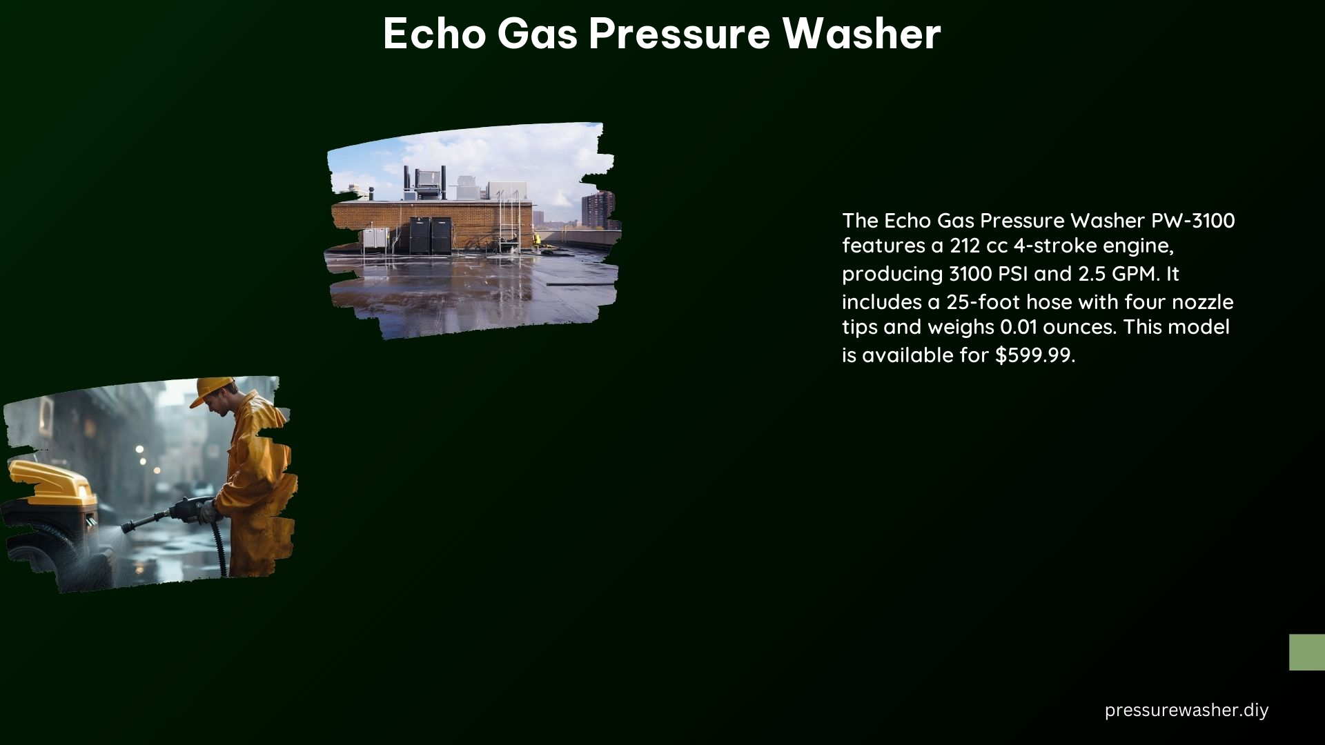 Echo Gas Pressure Washer