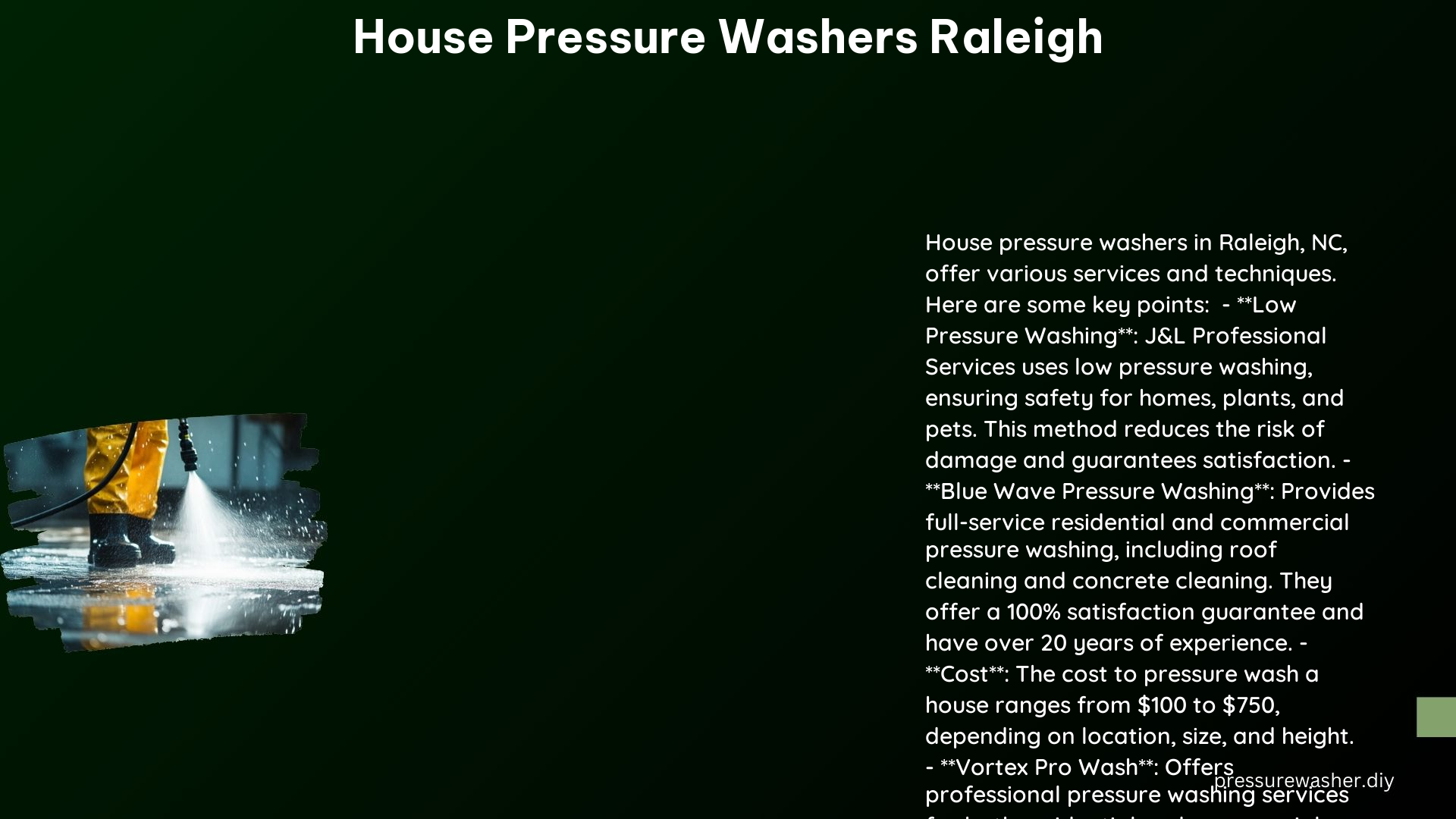 House Pressure Washers Raleigh