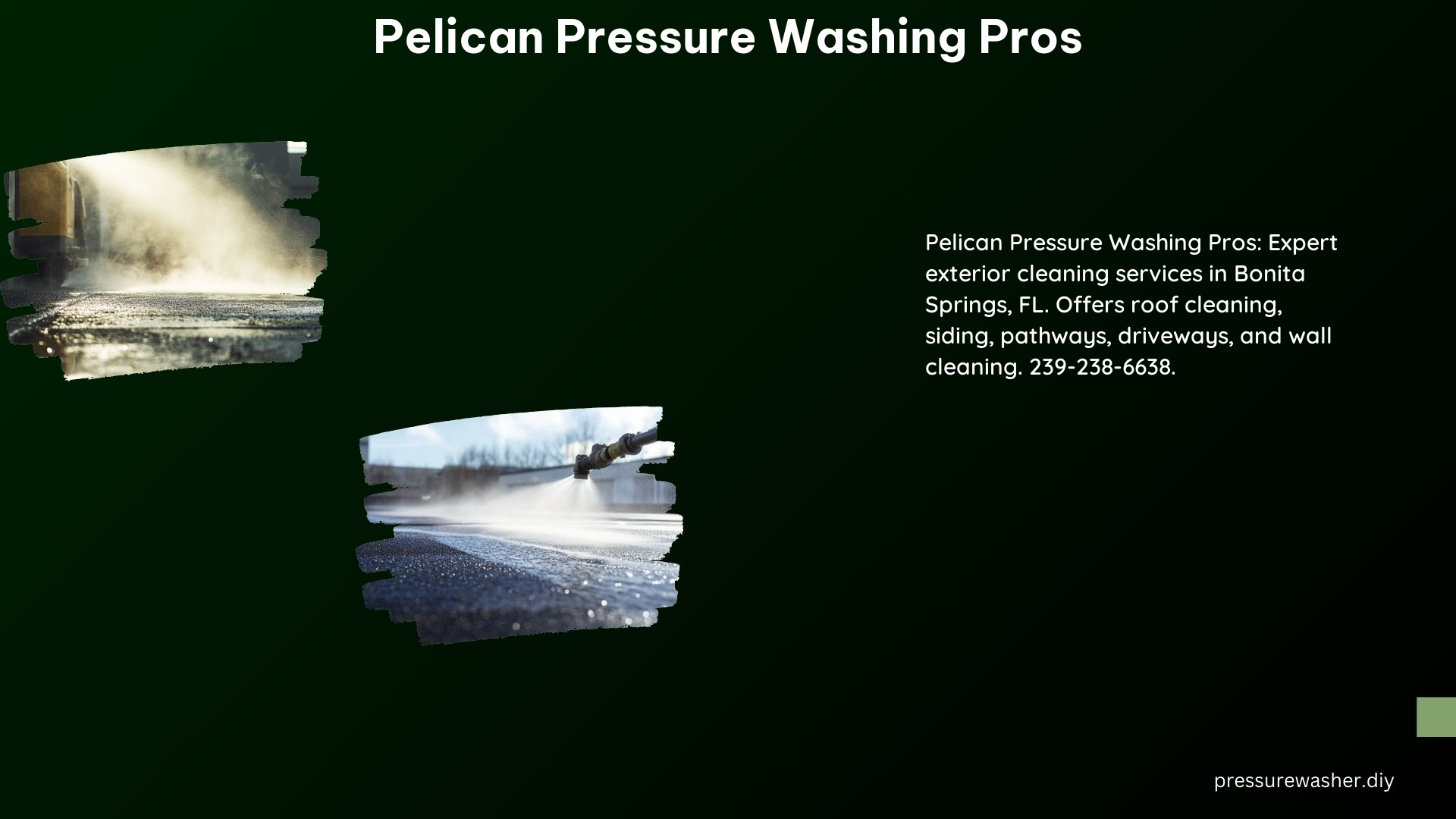Pelican Pressure Washing Pros