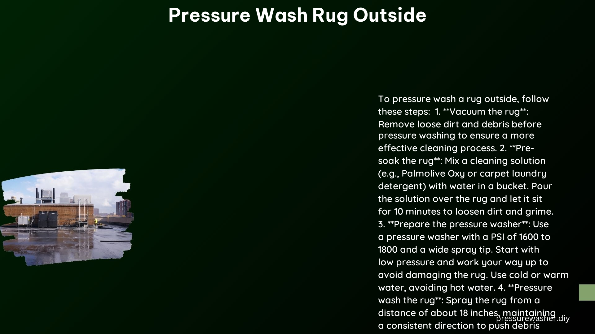 Pressure Wash Rug Outside