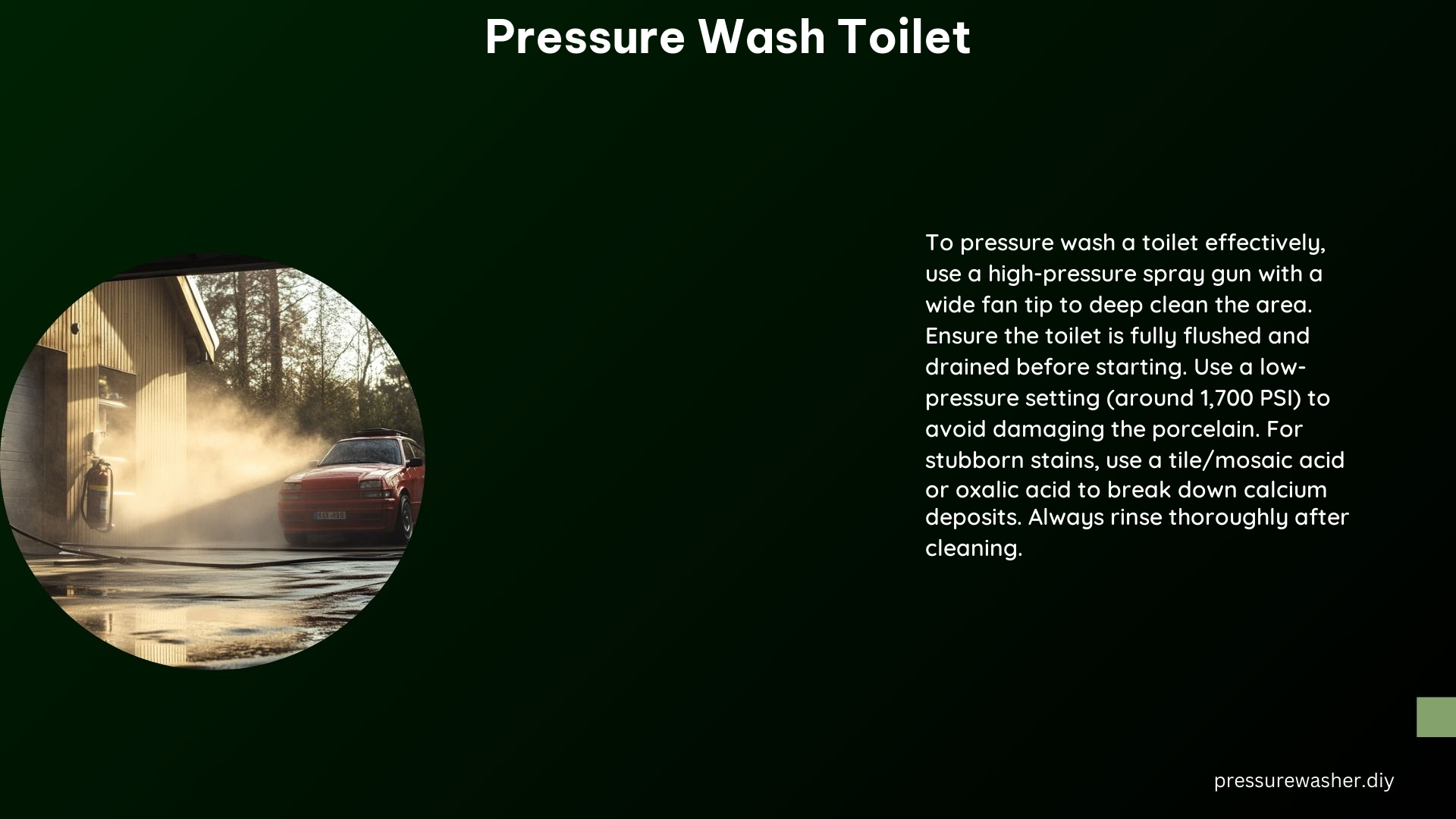 Pressure Wash Toilet