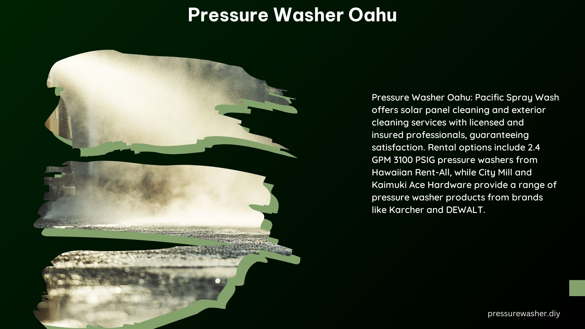 Pressure Washer Oahu 1