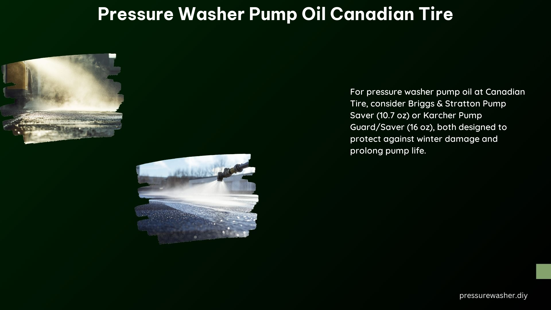 Pressure Washer Pump Oil Canadian Tire