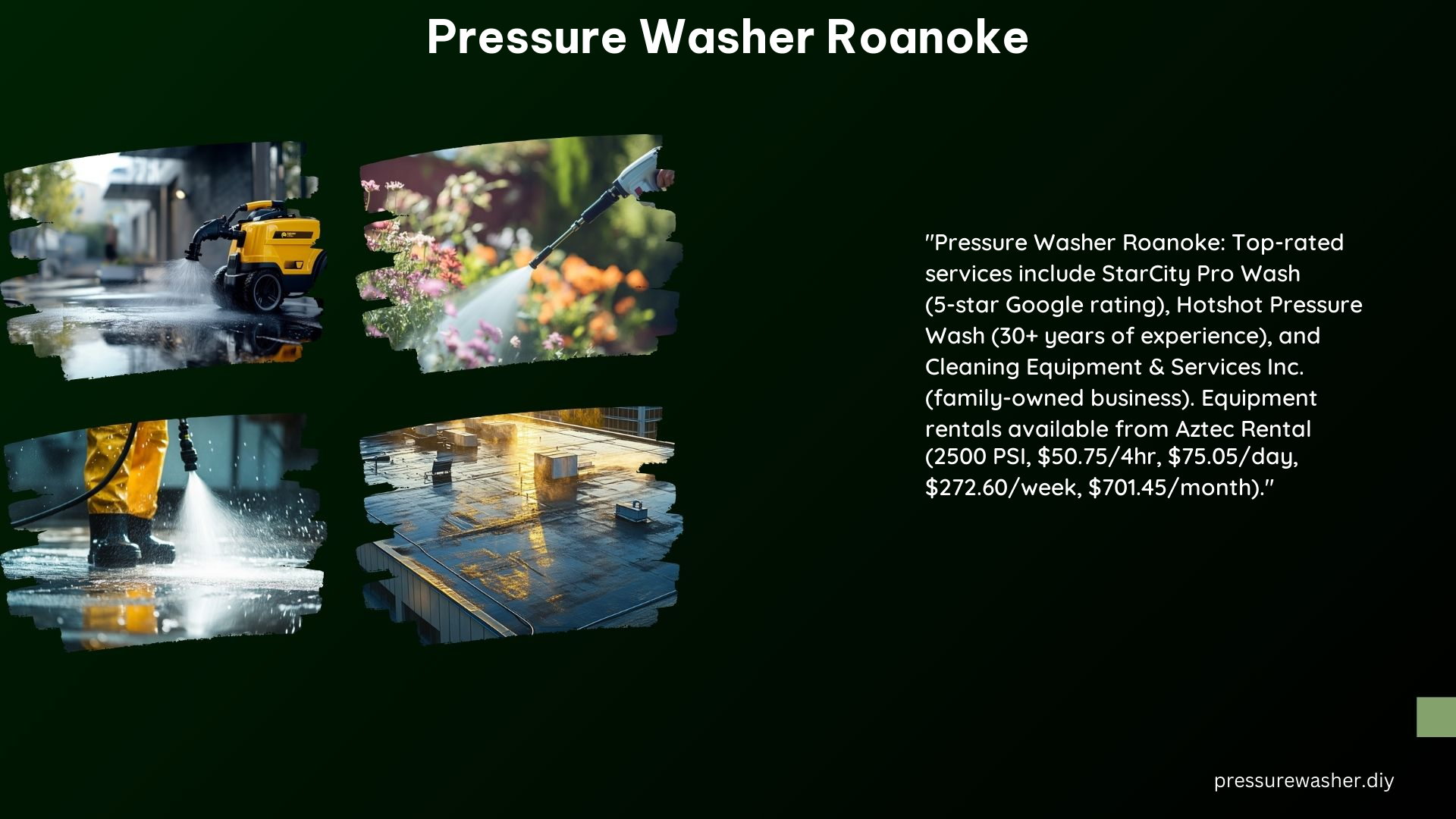 Pressure Washer Roanoke