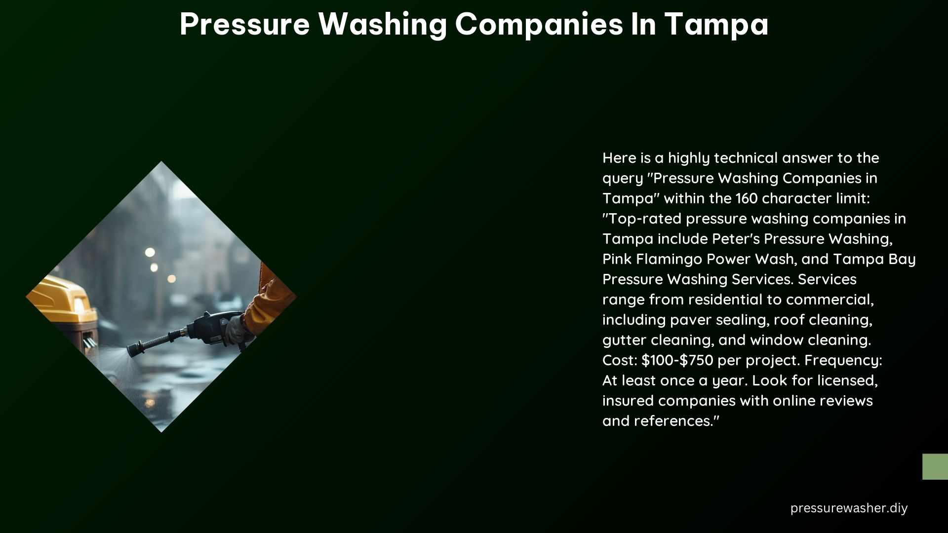 Pressure Washing Companies in Tampa