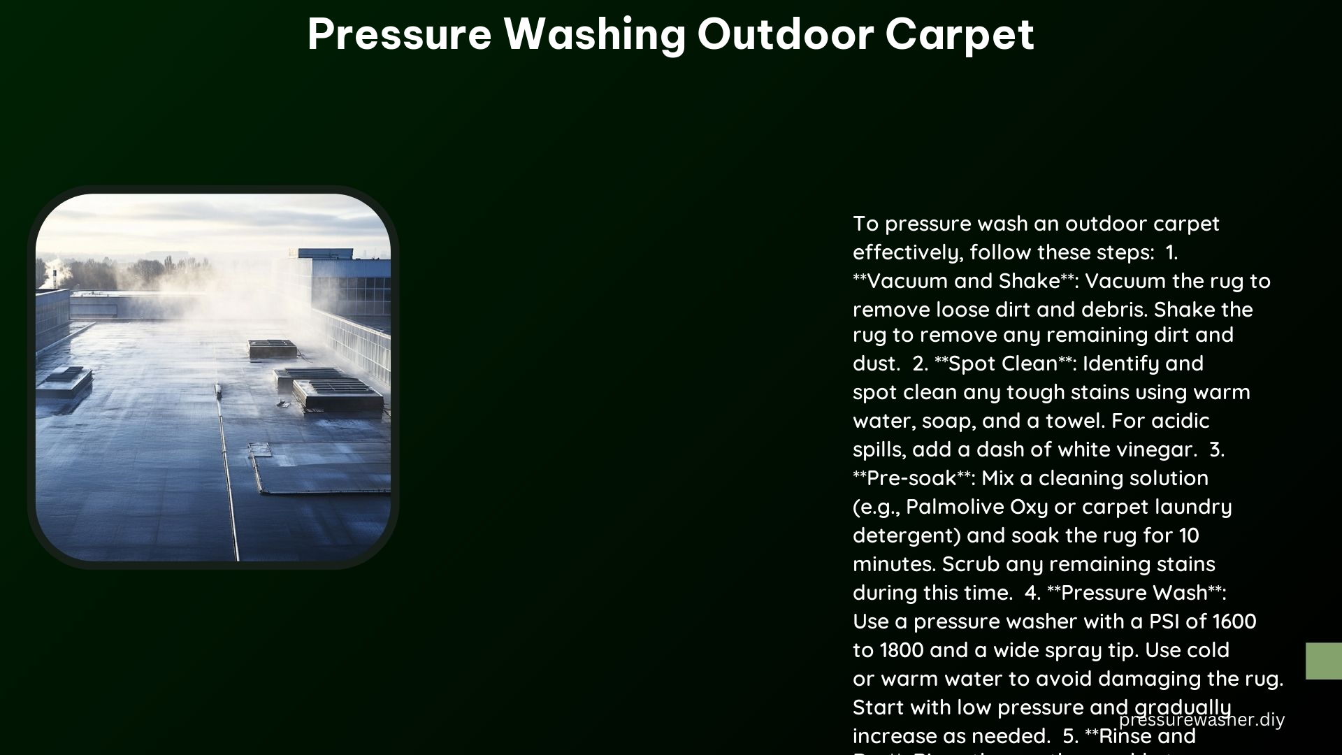 Pressure Washing Outdoor Carpet