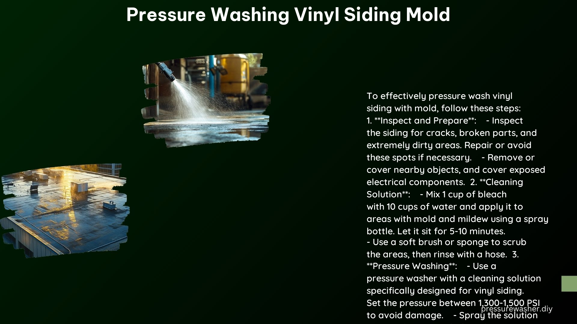 Pressure Washing Vinyl Siding Mold