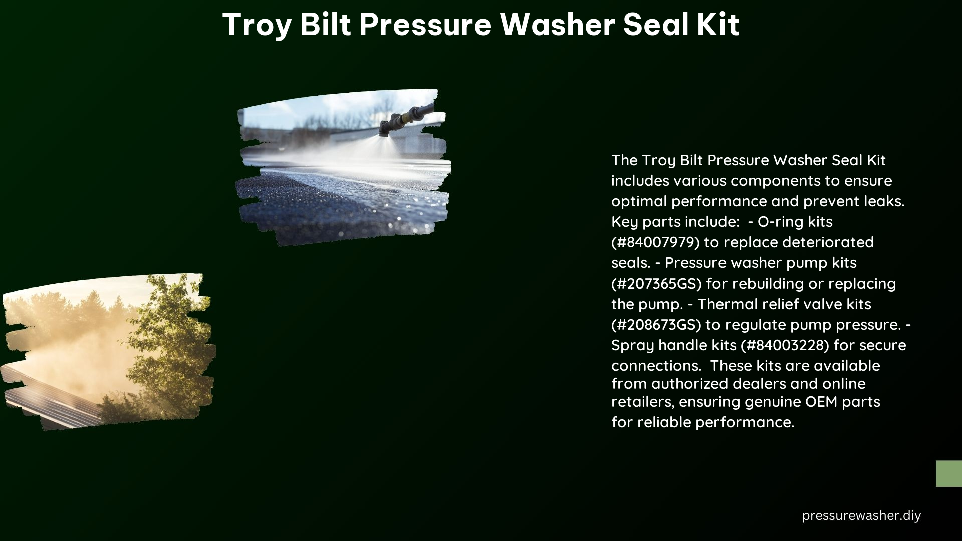 Troy Bilt Pressure Washer Seal Kit